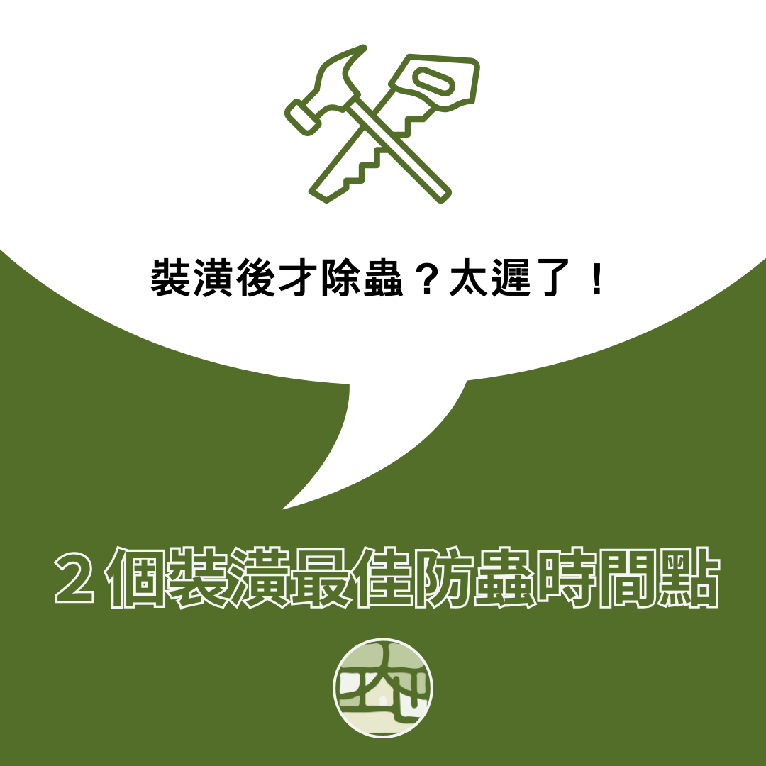 裝潢後才除蟲？太遲了！２個最佳防蟲時間點