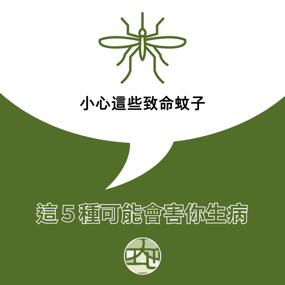 小心這些蚊子！可能害你生病的致命名單！