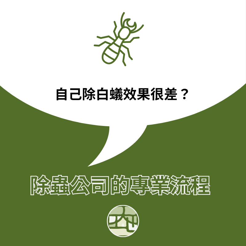 為什麼自己噴藥沒用？揭秘專業除白蟻的標準作業流程