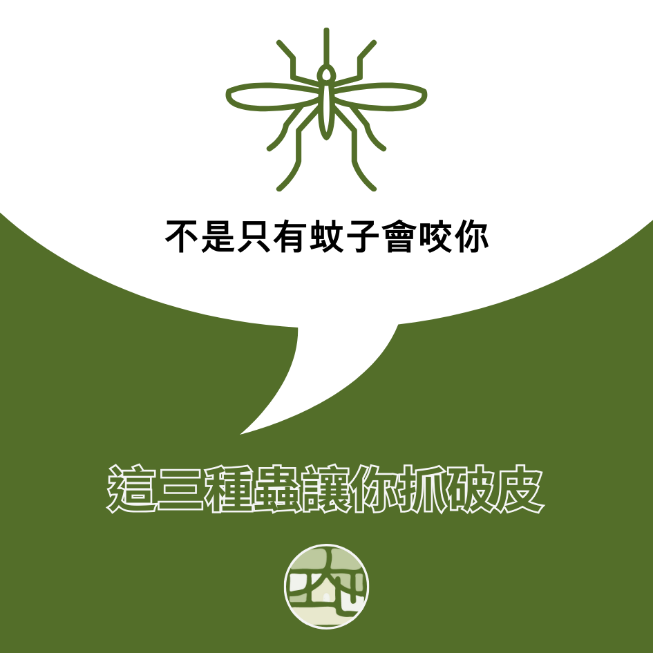不是只有蚊子會咬你！這 3 種蟲讓你抓破皮還沒完