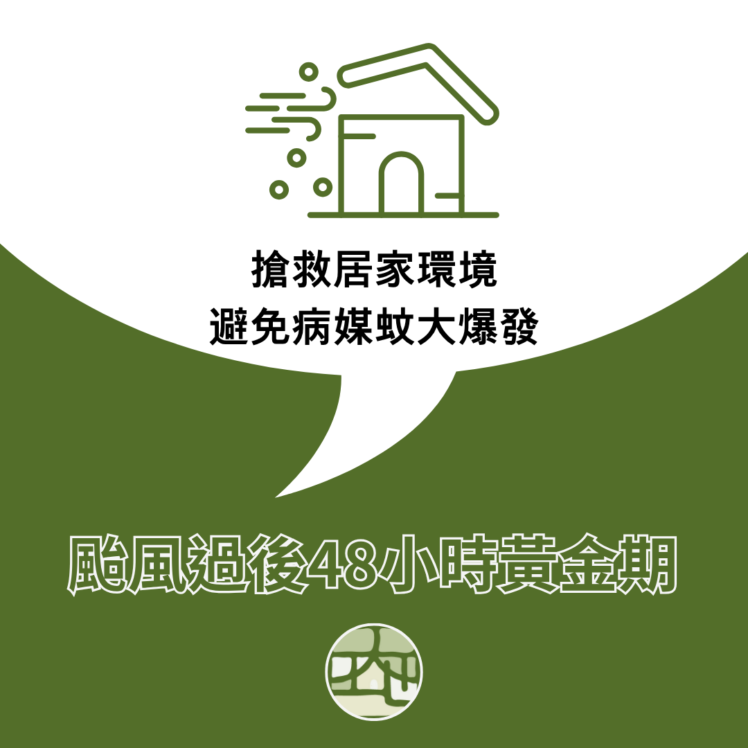 颱風過後48小時黃金期：搶救居家環境，避免病媒蚊大爆發