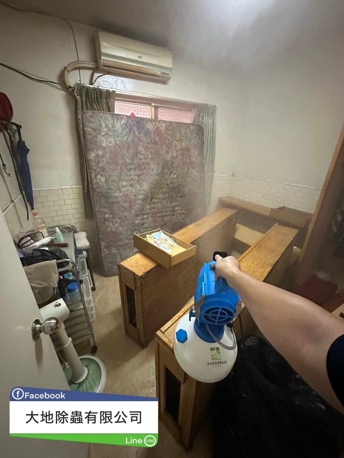 住家臭蟲03