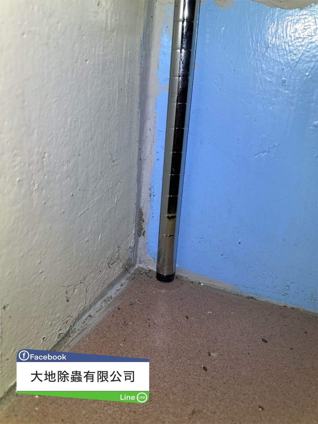 水泥裂縫白蟻蹤跡01