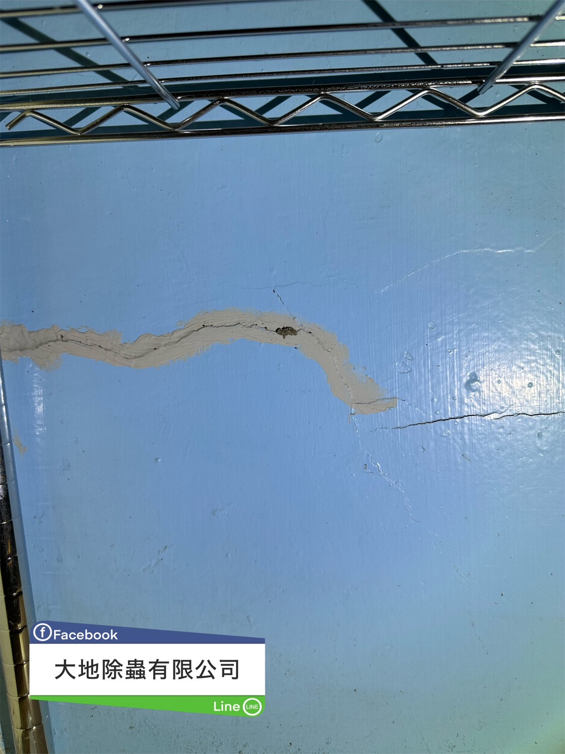 水泥裂縫白蟻蹤跡02