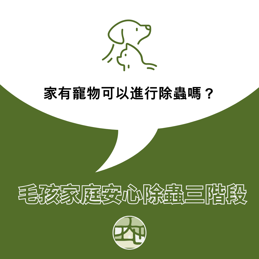 家有寵物可以進行除蟲嗎？毛孩家庭安心除蟲三階段